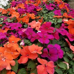 Meet your Posher, Krystle